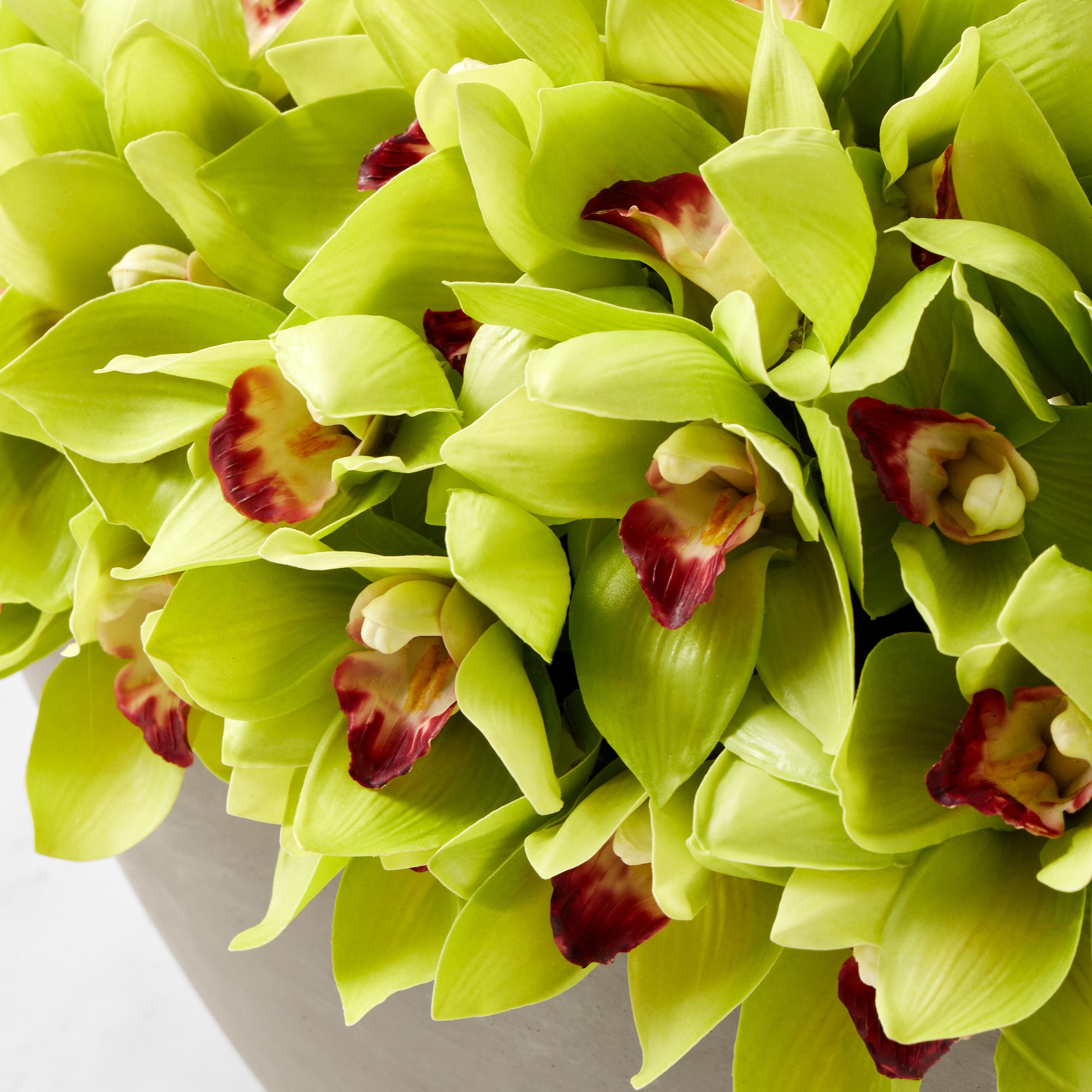 Jeff Leatham x Williams Sonoma Faux Green Cymbidium Orchid in Oval Bowl Sansujyuku sansujyuku.com
