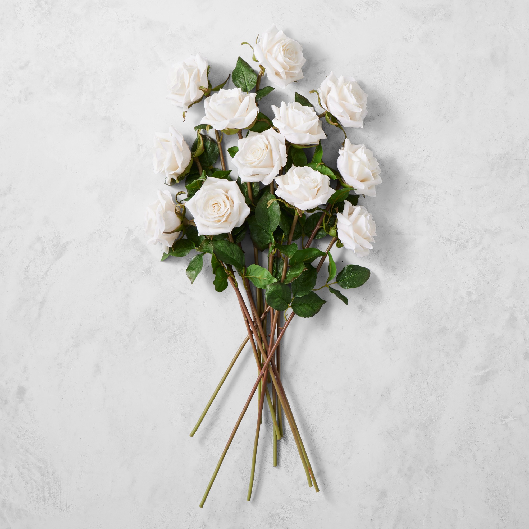 Jeff Leatham x Williams Sonoma Real Touch Faux Playa Blanca Rose Stems, Set of 12 Sansujyuku sansujyuku.com
