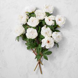 Jeff Leatham Faux White Peony Stems, Set of 12 | Williams Sonoma