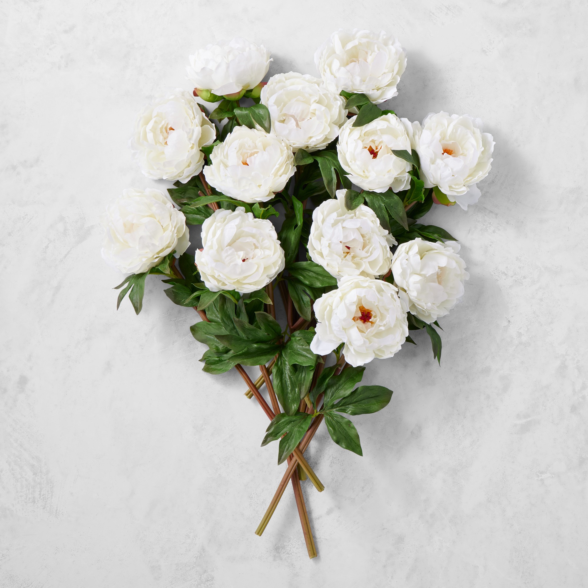 Jeff Leatham x Williams Sonoma Real Touch Faux White Peony Stems, Set of 12 Sansujyuku sansujyuku.com