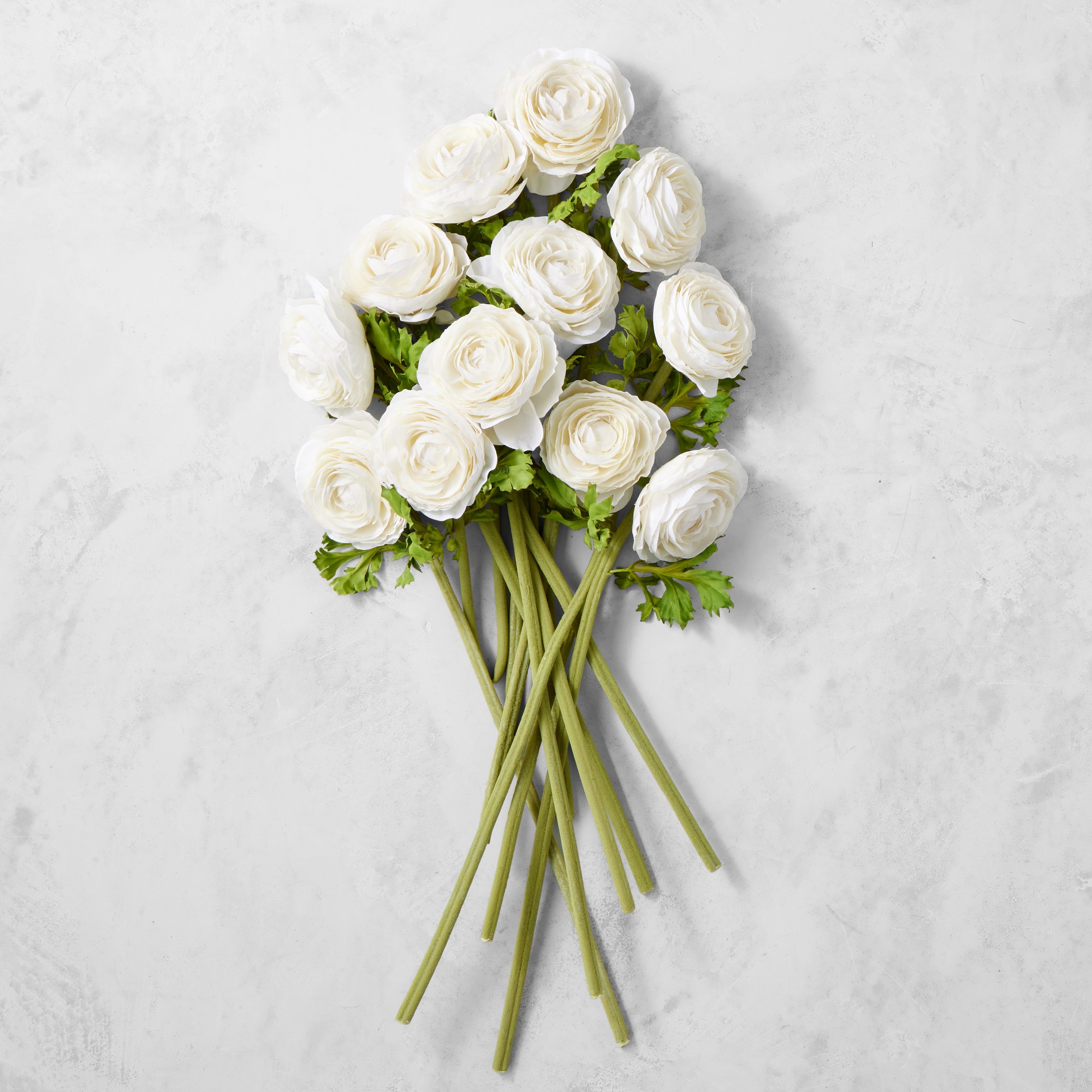 Jeff Leatham x Williams Sonoma Real Touch Faux White Ranunculus Stems, Set of 12 Sansujyuku sansujyuku.com