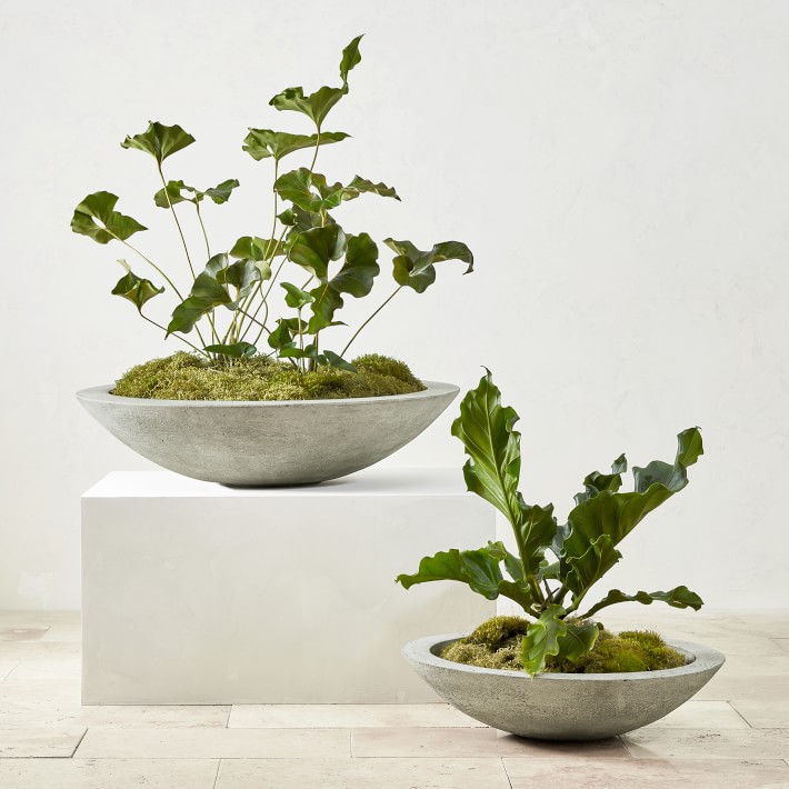Low Zen Bowl Outdoor Planter | Williams Sonoma