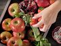 Video 1 for Breville Juice Fountain® Cold Plus