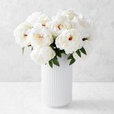 Jeff Leatham x Williams Sonoma Real Touch Faux White Peony Stems, Set of 12 Simolary simolary.com 12