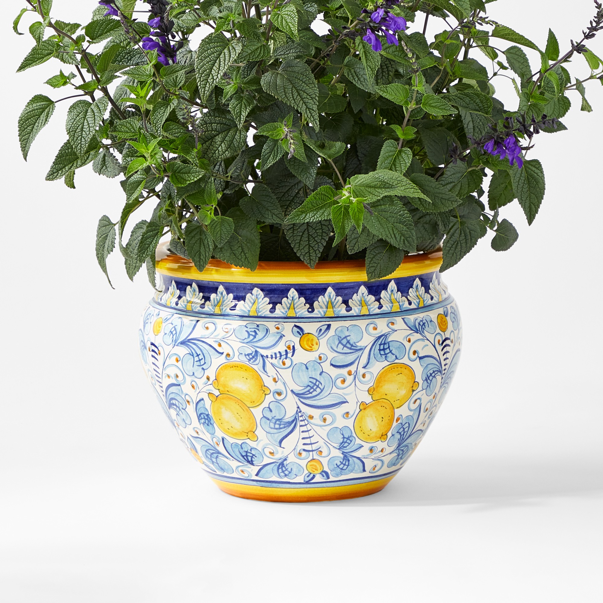Italian Hand-Painted Positano Planter Collection Sansujyuku sansujyuku.com