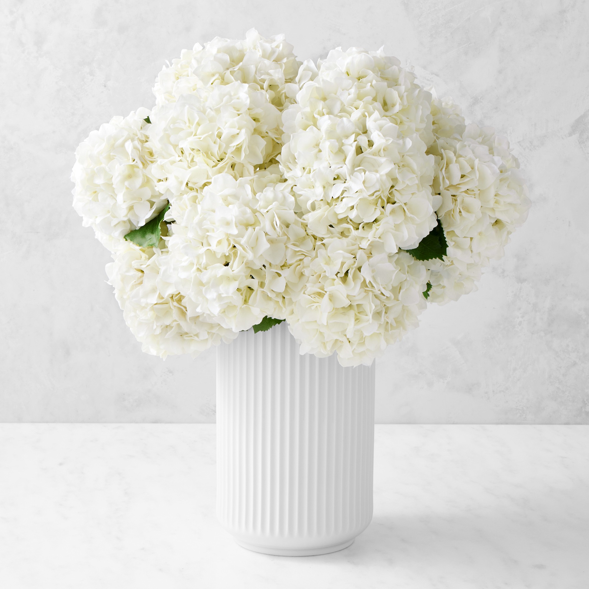 Jeff Leatham x Williams Sonoma Real Touch Faux White Hydrangea Stems, Set of 12 Simolary simolary.com