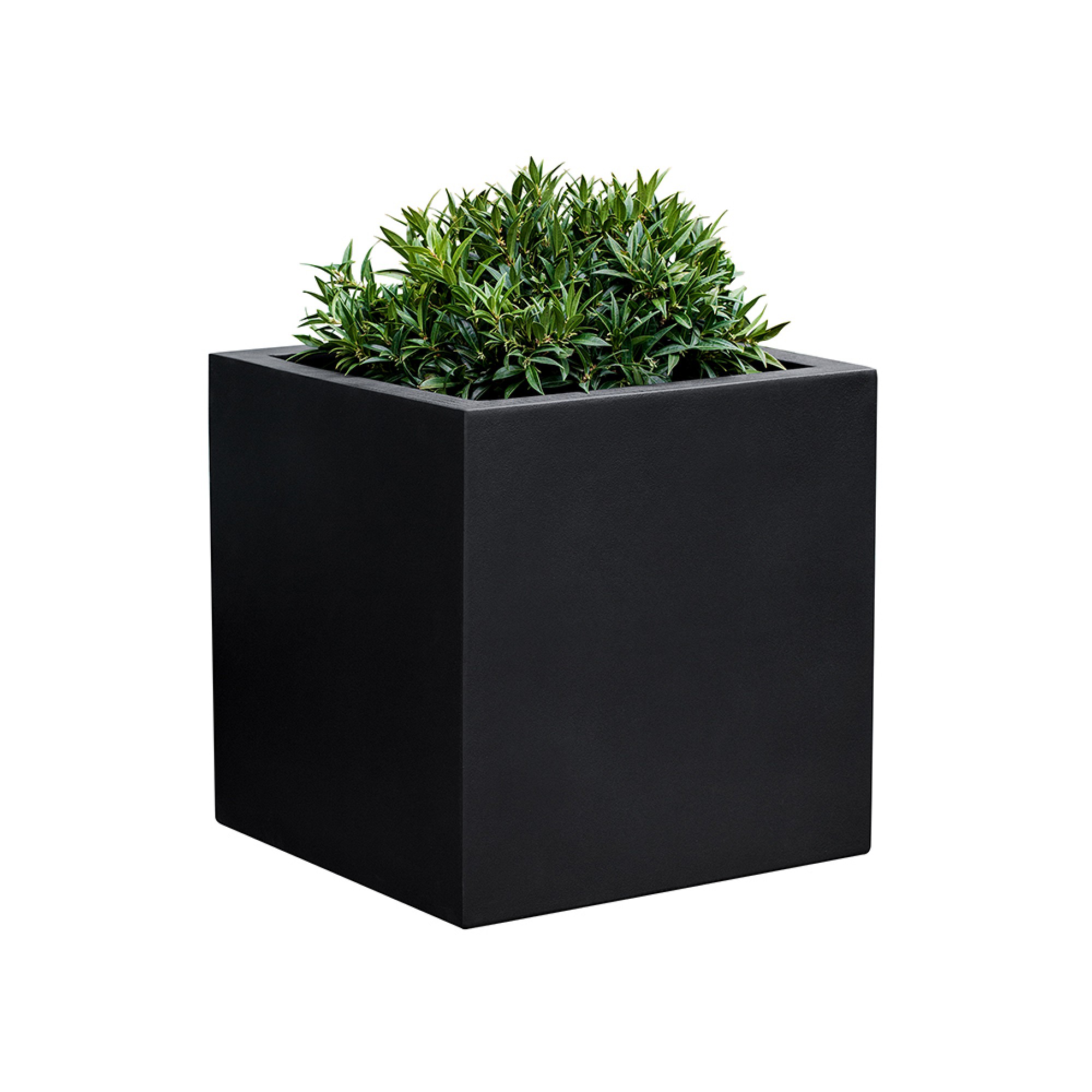 Farnley Planter Sansujyuku sansujyuku.com