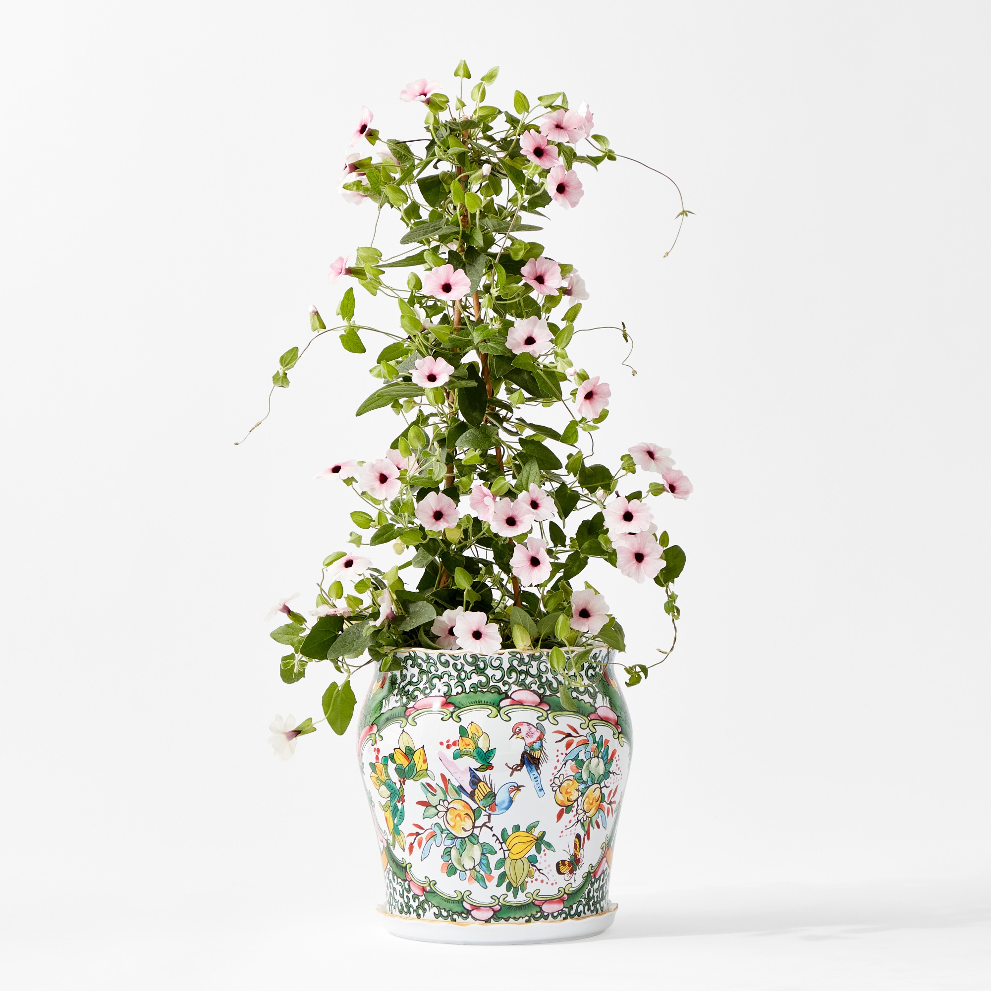 Famille Rose Planter Collection Simolary simolary.com