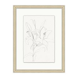 Floral Drawing 1