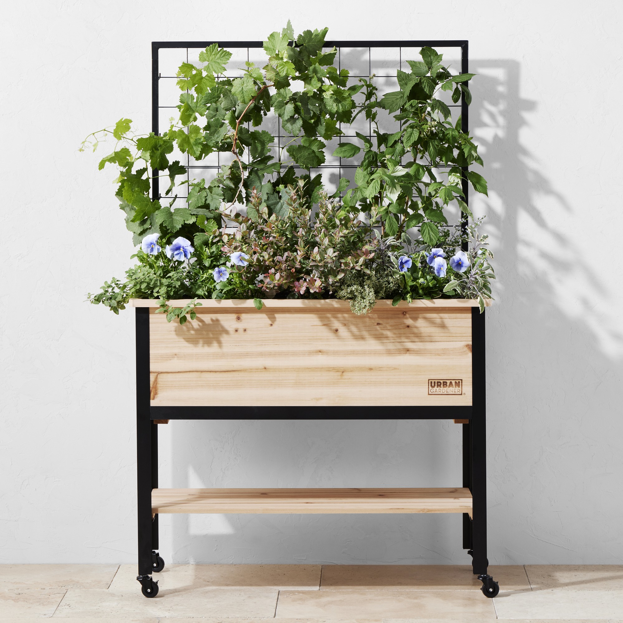 Deluxe Cedar Elevated Raised Garden with Steel Trellis, 4′ x 2′ Simolary simolary.com 5