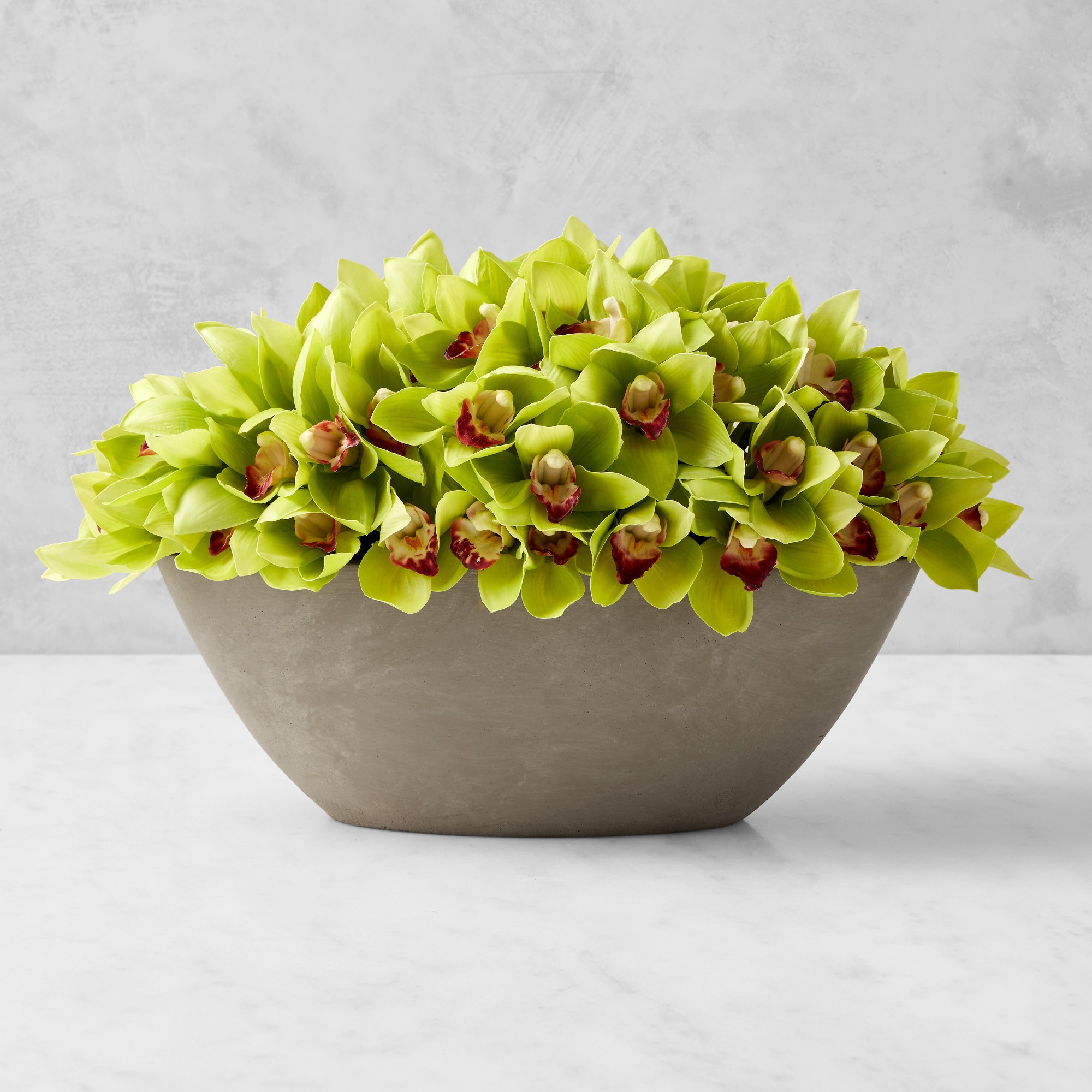 Jeff Leatham x Williams Sonoma Faux Green Cymbidium Orchid in Oval Bowl Simolary simolary.com