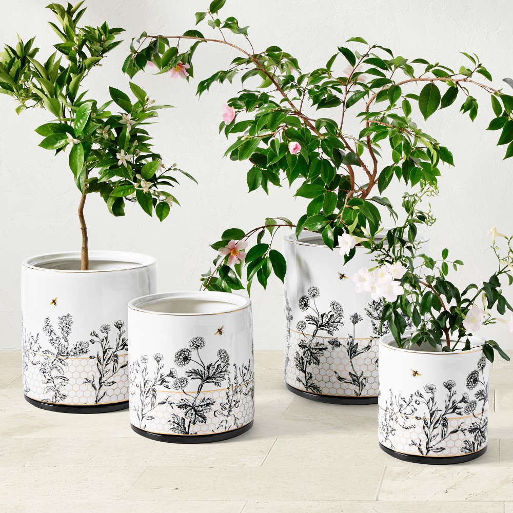 Honeycomb Ceramic Planter Collection by Williams Sonoma Home