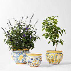 Italian Hand-Painted Positano Planter Collection