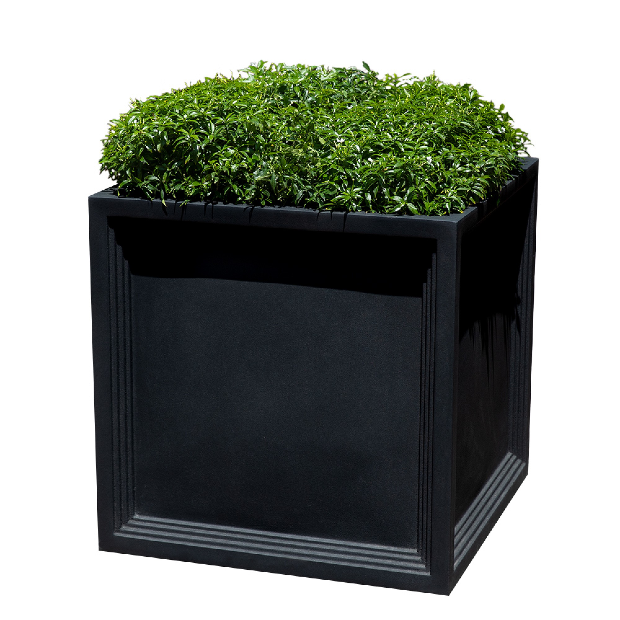 Sandhurst Planter Sansujyuku sansujyuku.com