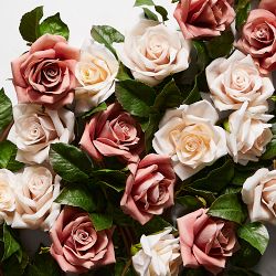 Jeff Leatham x Williams Sonoma Real Touch Faux Mocha Rose Stems, Set of 12