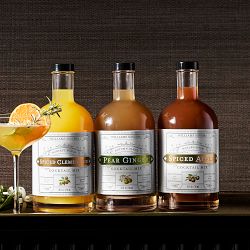Williams Sonoma Spiced Apple Cocktail Mix
