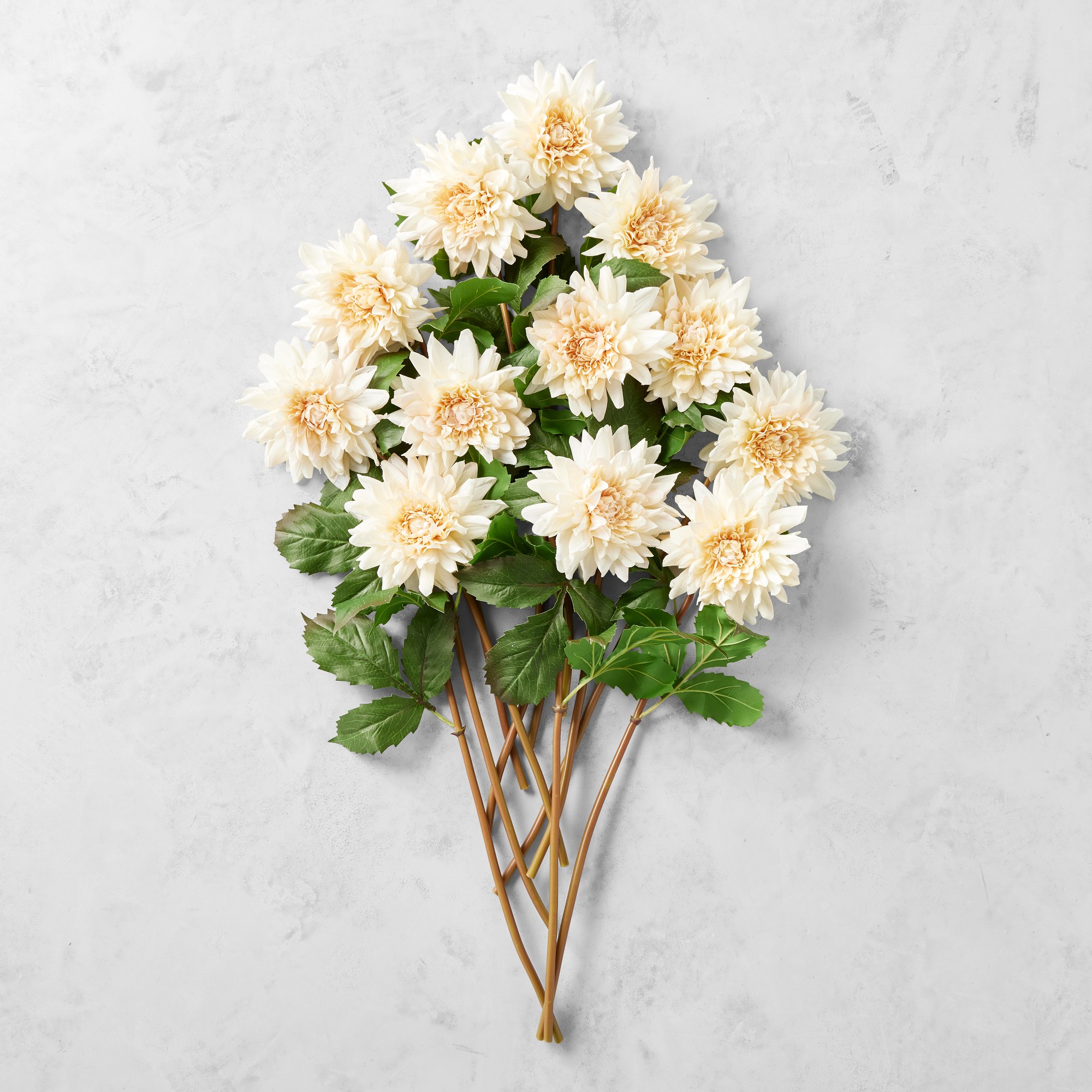 Jeff Leatham x Williams Sonoma Real Touch Faux Blush Dahlia Stems, Set of 12 Sansujyuku sansujyuku.com