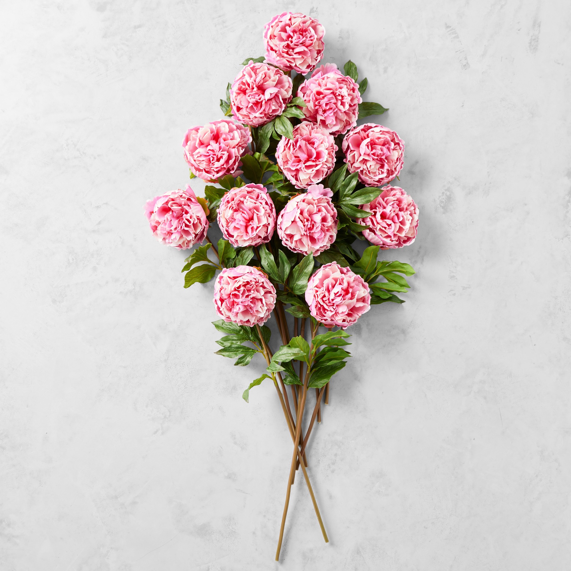 Jeff Leatham x Williams Sonoma Real Touch Faux Pink Peony Stems, Set of 12 Sansujyuku sansujyuku.com