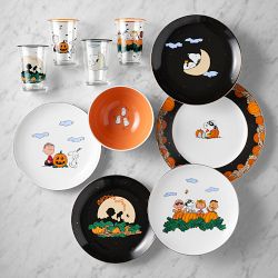 Peanuts® The Great Pumpkin 16-Piece Dinnerware Set
