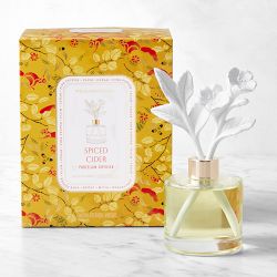 Home Fragrance Seasonal Porcelain Diffuser Spiced Cider