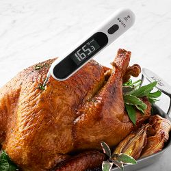 Taylor Infrared Probe Folding Thermometer