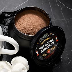 Williams Sonoma Halloween Hot Cocoa Cauldron