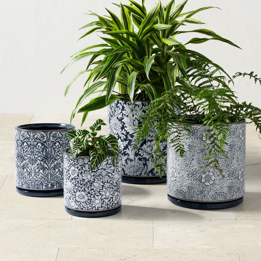 Morris & Co. x Williams Sonoma Ceramic Planter Collection by Williams Sonoma Home