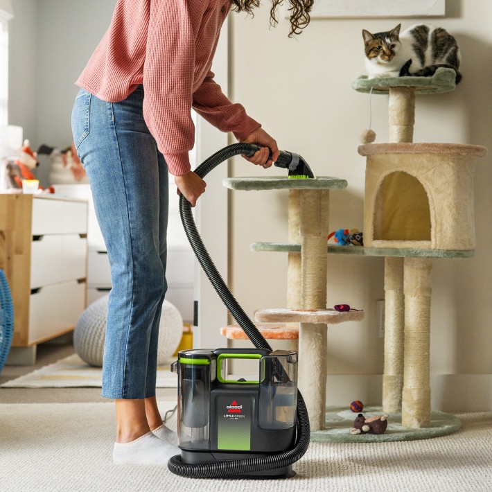 Bissell Little Green Max Pet Portable Carpet Cleaner | Williams Sonoma