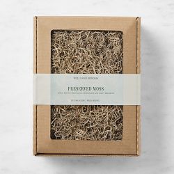 Williams Sonoma Preserved Spanish Moss, Natural