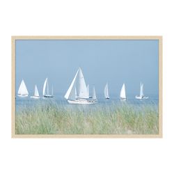 Summer Regatta Wall Art