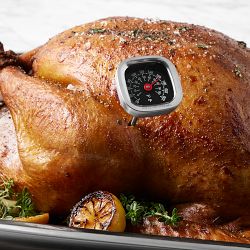 Williams Sonoma Analog Instant Read Dial Thermometer