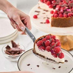 Hestan Provisions Stainless-Steel Pie Server