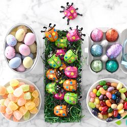 Williams Sonoma Mini Chocolates in Egg Carton