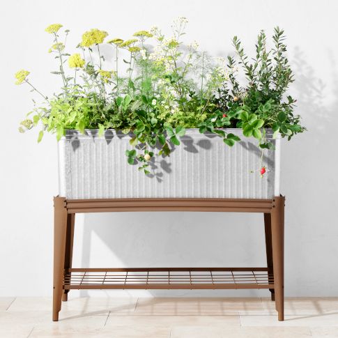 Raised Garden Beds