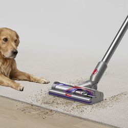 Dyson V15 Detect Cordless Vacuum, Yellow and Nickel