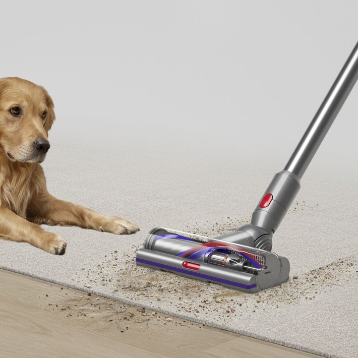 Dyson V15 Detect Cordless Vacuum | Williams Sonoma