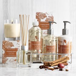 Williams Sonoma Pumpkin Spice Hand Soap, Dish Soap &amp; Lotion 4-Piece Kitchen Set
