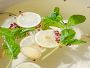 Video 1 for Le Creuset Peche Collection