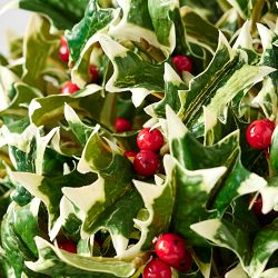Faux Holly Berry Floral Arrangement in Porcelain Vase