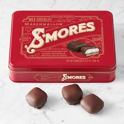 Williams Sonoma Milk Chocolate S'mores
