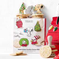 PEANUTS™ x Williams Sonoma Holiday Impression Cookie Cutter Stamps, Set of 23