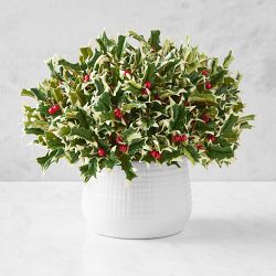 Faux Holly Berry Floral Arrangement, Medium