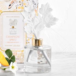 Home Fragrance Seasonal Champagne Spritz Porcelain Diffuser