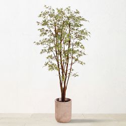 Faux Mini Japanese Maple Tree, 6.5'