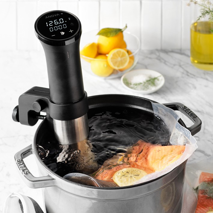 Anova Precision Cooker 3.0 + Stock Pot Set | Williams Sonoma