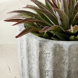 Maris Planter