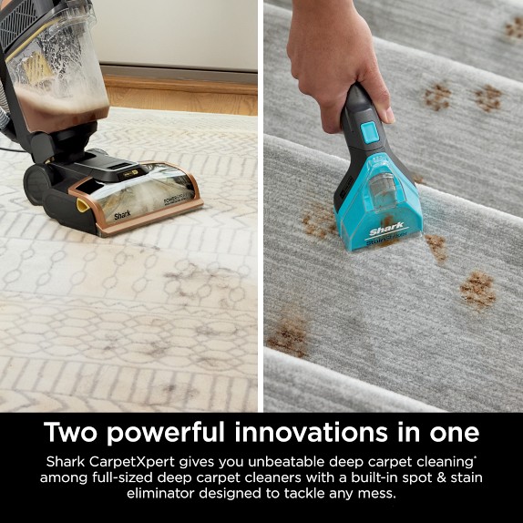 Shark CarpetXpert HairPro with StainStriker | Williams Sonoma