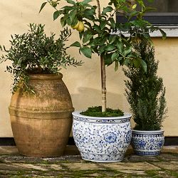 Faux Cedar Topiary in Plastic Pot, 36"-72"