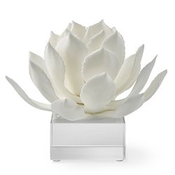 White Agave On Acrylic Stand