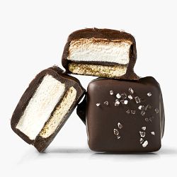 Williams Sonoma Dark Chocolate S'mores